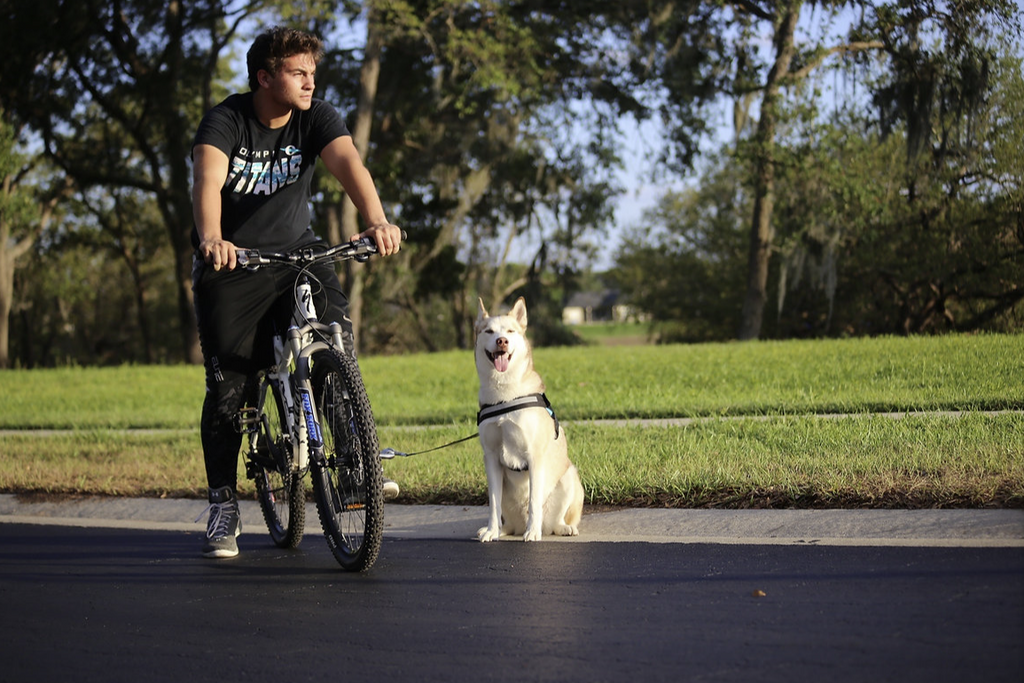 Run/Walk Bike Leash