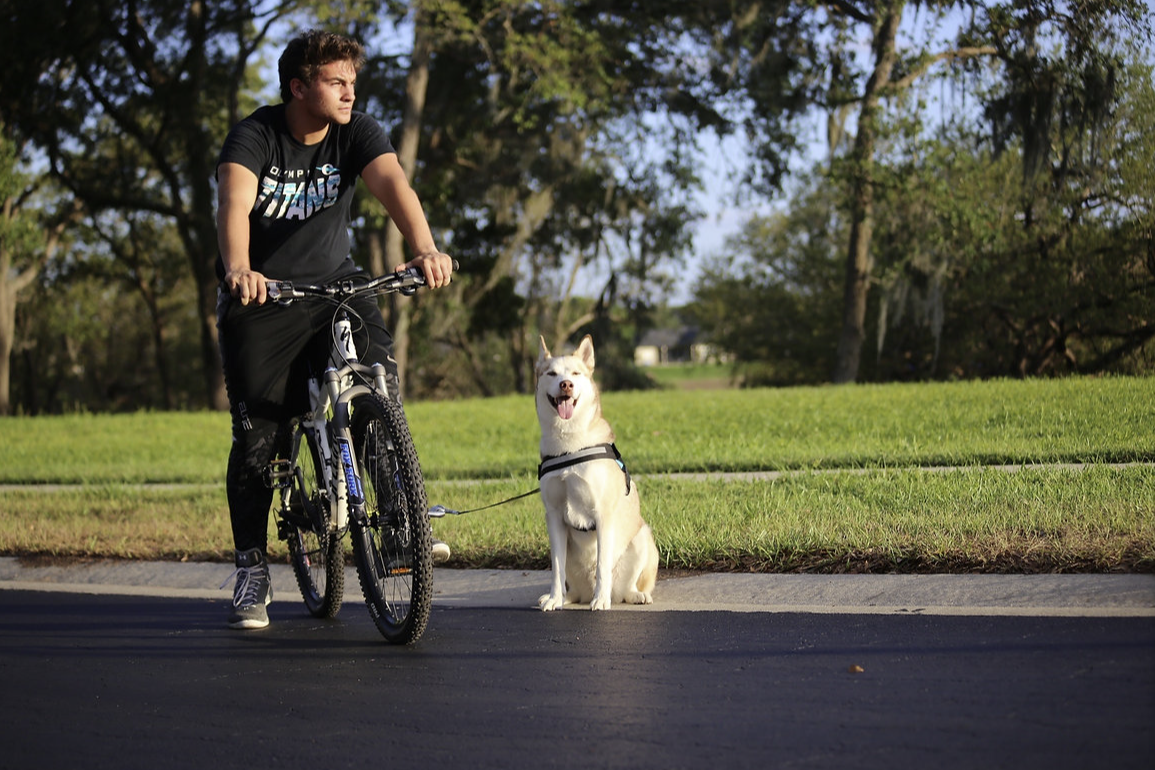 Run/Walk Bike Leash